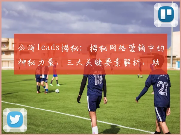 公海leads揭秘：揭秘网络营销中的神秘力量，三大关键要素解析，助力企业增长