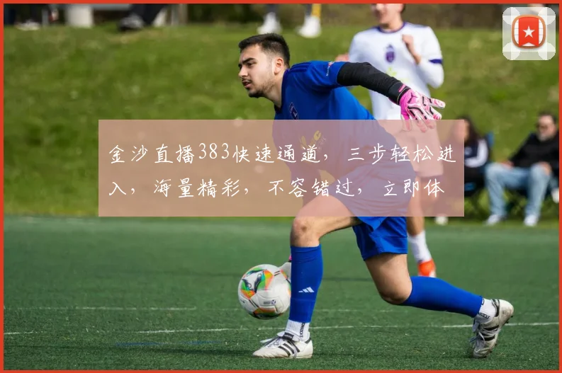 金沙直播383快速通道，三步轻松进入，海量精彩，不容错过，立即体验