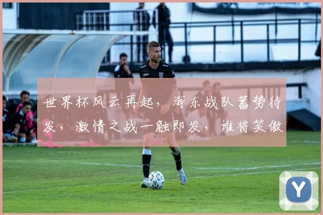 世界杯风云再起，海东战队蓄势待发，激情之战一触即发，谁将笑傲江湖